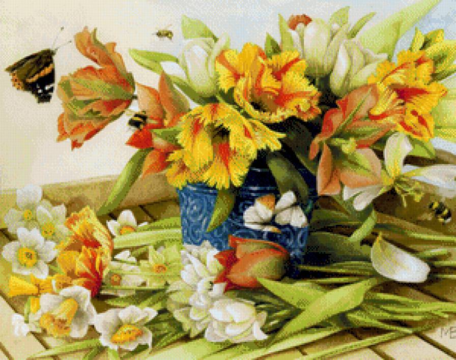 tulipani - предпросмотр