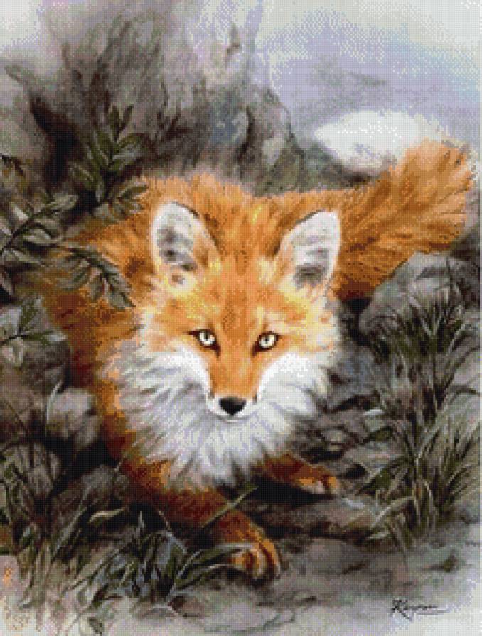 лисичка - лисичка - предпросмотр