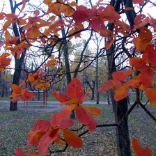 Схема вышивки «Тихая осень»