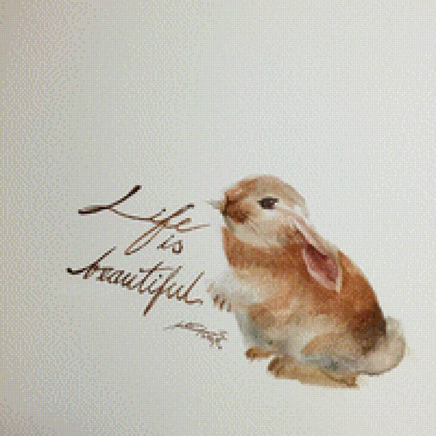 Кролик - предпросмотр