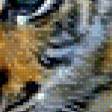 Предпросмотр схемы вышивки «тигренок» (№1065025)