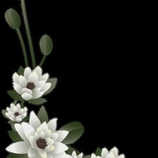 Схема вышивки «Кувшинки»