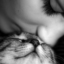 Схема вышивки «Любовь к кошке»