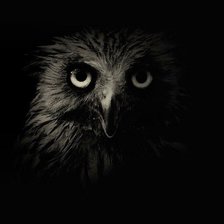 Схема вышивки «сова»