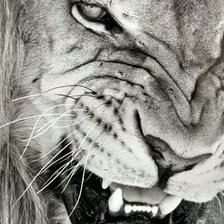 Схема вышивки «Лев»