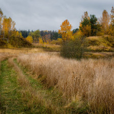 Схема вышивки «Лесная опушка в сентябре»
