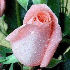 Схема вышивки «№1065511»