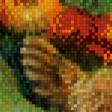 Предпросмотр схемы вышивки «Павлин и куры» (№1065627)