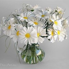 Схема вышивки «ромашки»