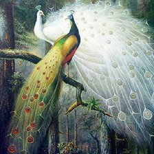 Схема вышивки «Павлины»