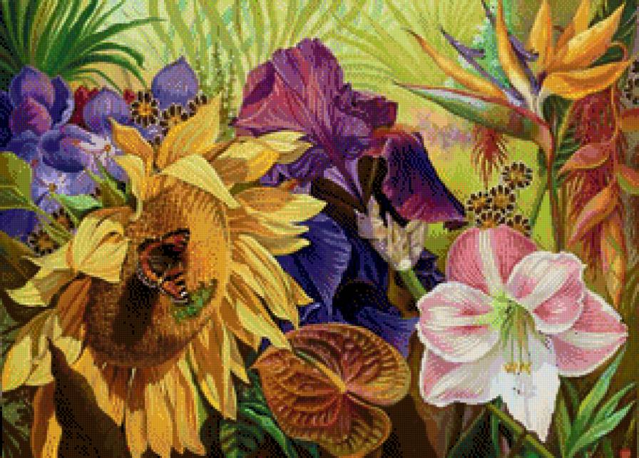 bellissimi fiori - предпросмотр