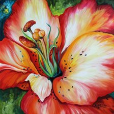 Схема вышивки «b6»