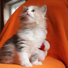 Схема вышивки «Масяня»