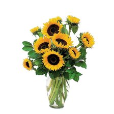 Схема вышивки «подсолнухи в вазе»