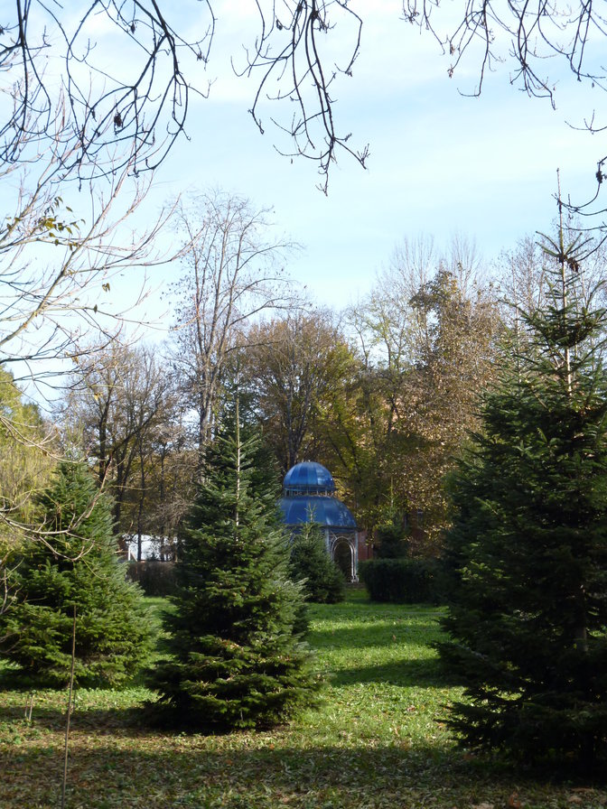 природа - елки, природа - оригинал