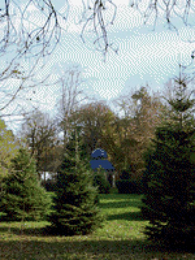 природа - елки, природа - предпросмотр