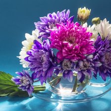 Схема вышивки «Хризантемы в вазе»