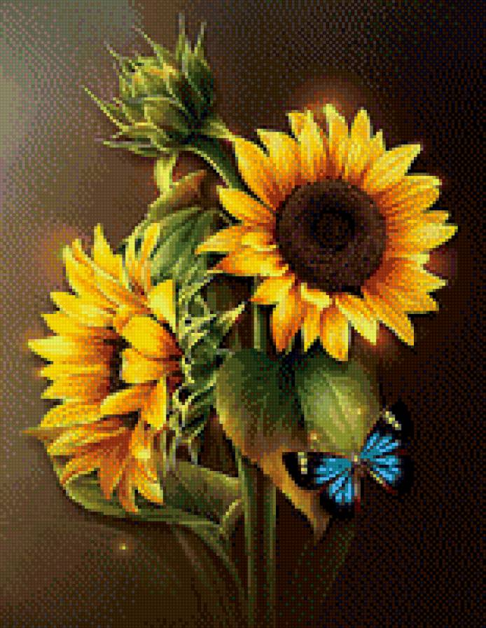 бабочка на подсолнухах - бабочка, подсолнух - предпросмотр