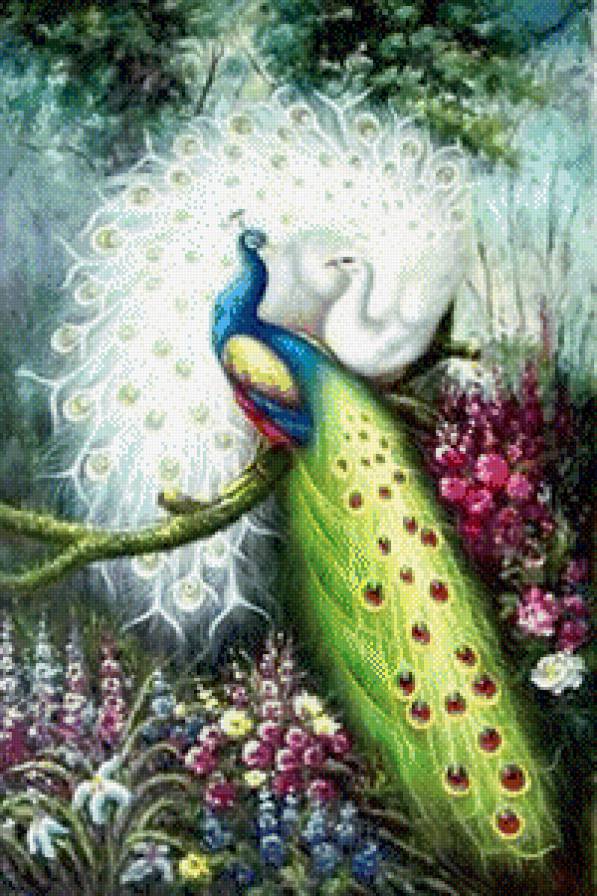 Павлины в райском саду - павлин, сад, лес - предпросмотр