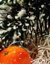 Схема вышивки «Новогодняя 3 часть»