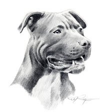 Схема вышивки «питбультерьер»