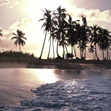 Схема вышивки «пальмы»