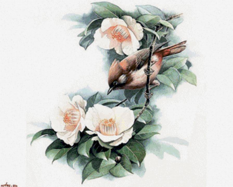 Воробышек - птицы, цветы, природа - предпросмотр