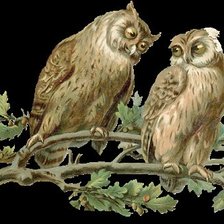 Схема вышивки «свидание»