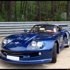 Схема вышивки «marcos mantis»