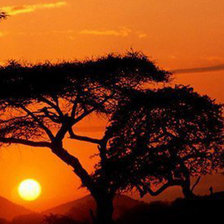 Схема вышивки «Триптих правп сторона»