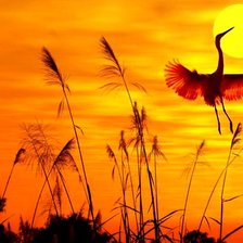 Схема вышивки «Журавли на закате (левая часть)»