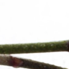 Схема вышивки «1\1»