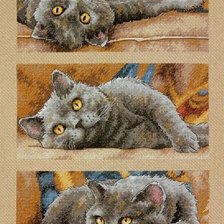 Схема вышивки «кот»