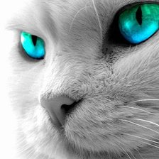 Схема вышивки «№1068665»