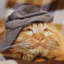 Схема вышивки «Рыжее очарование»