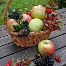 Схема вышивки «Витаминная осень»