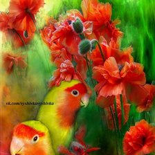 Схема вышивки «попугаи и маки»