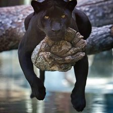 Схема вышивки «после долгой охоты»