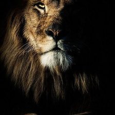 Схема вышивки «Ночь»