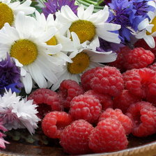 Схема вышивки «Ароматы лета»