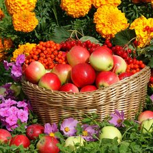 Схема вышивки «На даче»