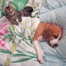 Схема вышивки «Друзья»