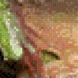 Предпросмотр схемы вышивки «жаба» (№1070714)
