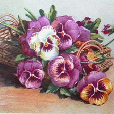 Схема вышивки «виола в корзинке»