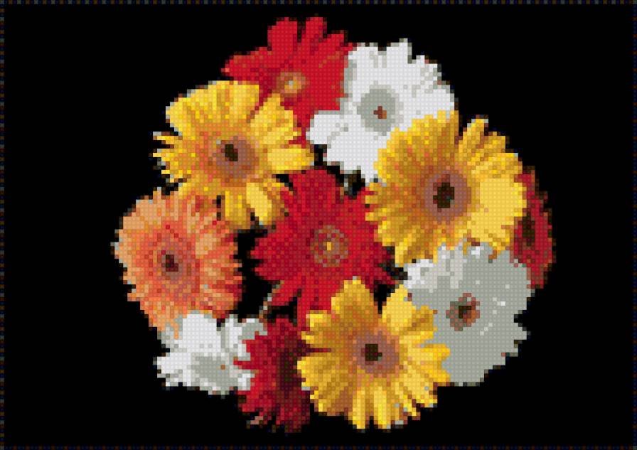 герберы 2 - предпросмотр