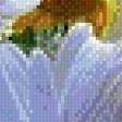 Предпросмотр схемы вышивки «Букет ромашек» (№1070964)