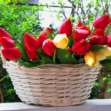 Схема вышивки «Тюльпаны»