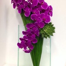 Схема вышивки «Букет цветов»