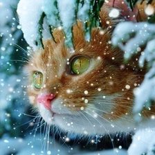 Схема вышивки «котик»