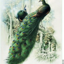 Схема вышивки «Павлины»